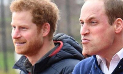 Especialista expoe detalhes intimos de William e Harry ‘Tarde demais