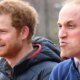 Especialista expoe detalhes intimos de William e Harry ‘Tarde demais