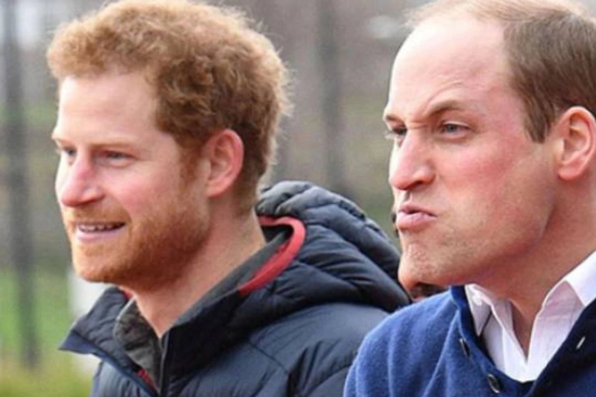 Especialista expoe detalhes intimos de William e Harry ‘Tarde demais