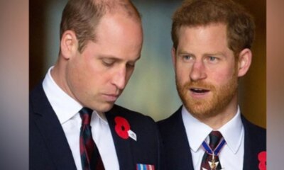 Harry fala sobre segredos que William nao gostaria que o