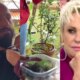 Internauta diz que o genro de Ana Maria Braga parece