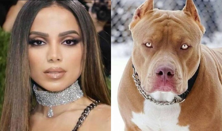 Anitta fala sobre ter relações com cachorros e sofre duras críticas 31