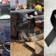 Cantor filho de grande artista brasileiro perde a vida em