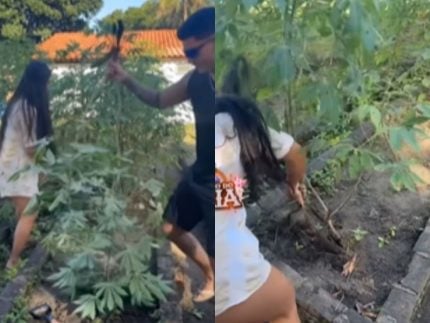 Carlinhos põe falso solteiro e namorada para colherem e plantarem no Rancho 31 Reprodução Instagram