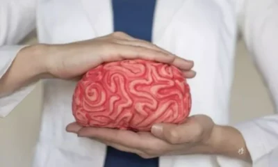 Como podemos retardar o envelhecimento do nosso cerebro de