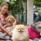 Gracyanne conta como ficaram os cachorros que tinha com belo