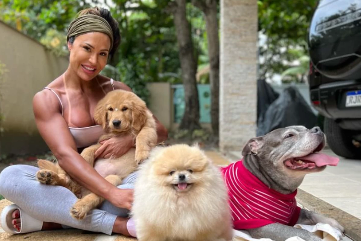 Gracyanne conta como ficaram os cachorros que tinha com belo após o divórcio 31 Gracyanne conta como ficaram os cachorros que tinha com belo