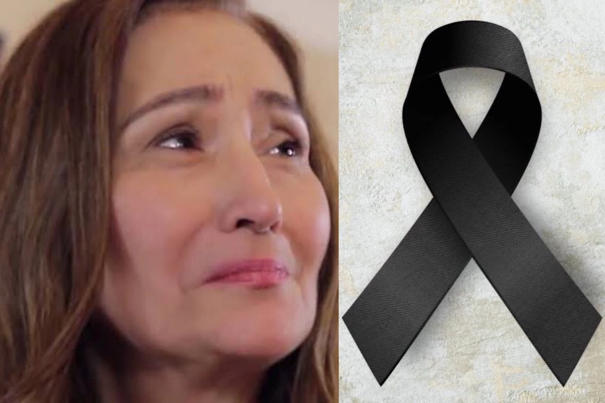 ‘E agora sem ela?’: Sonia Abrão sofre dura perda e se despede de ‘companheira’ que poucos conheciam 31 ‘E agora sem ela Sonia Abrao sofre dura perda e