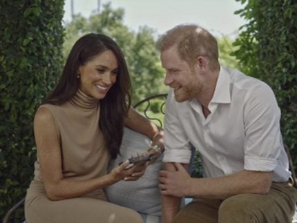 A realeza também paga boletos! Harry e Meghan são taxados por mansão nos EUA 31 A realeza também paga boletos! Harry e Meghan são taxados por mansão nos EUA