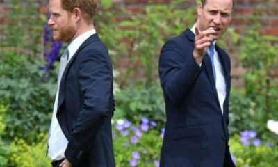 Amigo de príncipe William ridiculariza equipe de príncipe Harry: “Muito estúpidos”