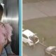 Deolane Bezerra e presa em operacao da policia que tem