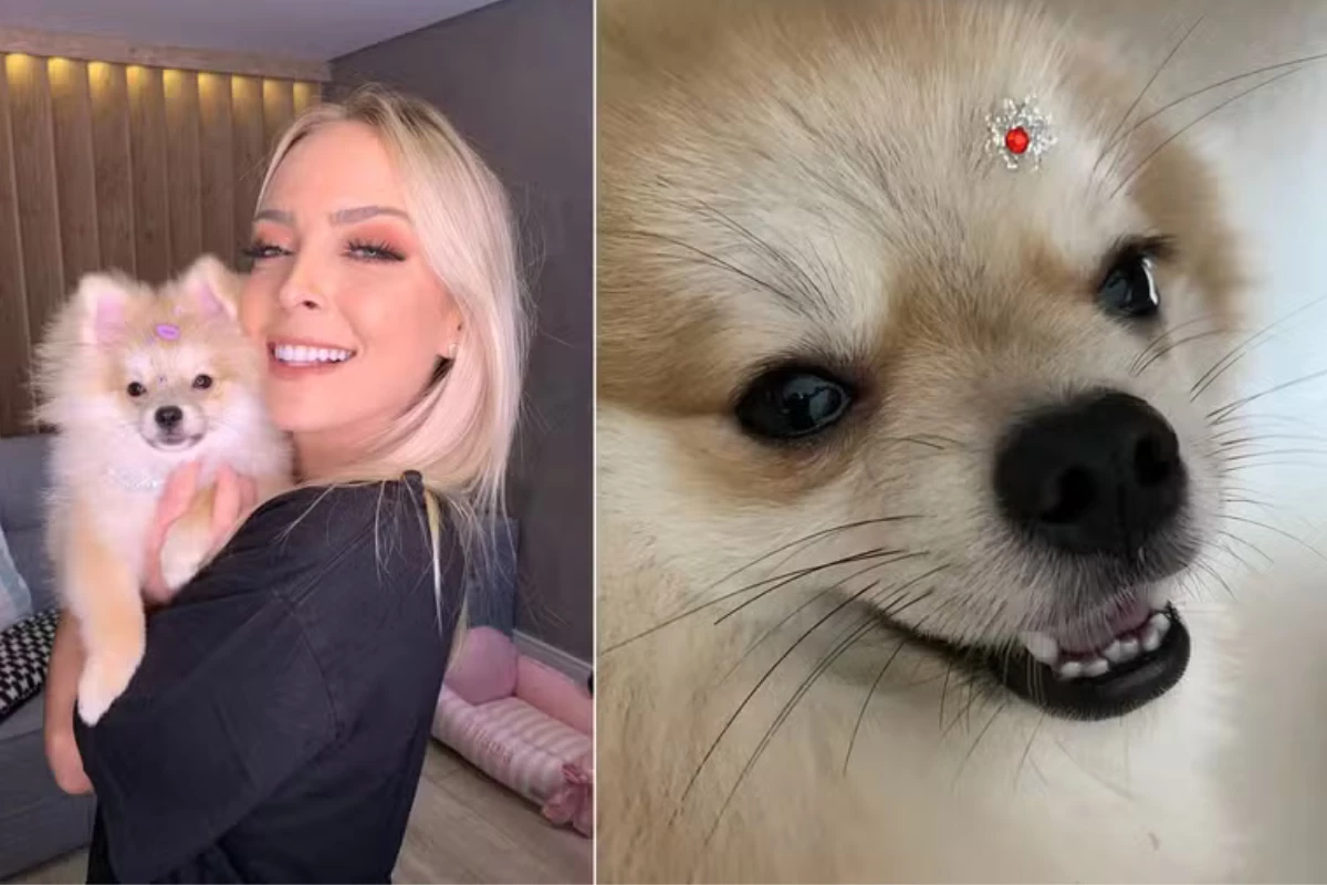 Emocionada, Tata Estaniecki se despede de sua cachorrinha Tilápia e faz alerta: ‘Pode ser fatal pra eles’ 31 Emocionada Tata Estaniecki se despede de sua cachorrinha Tilapia e