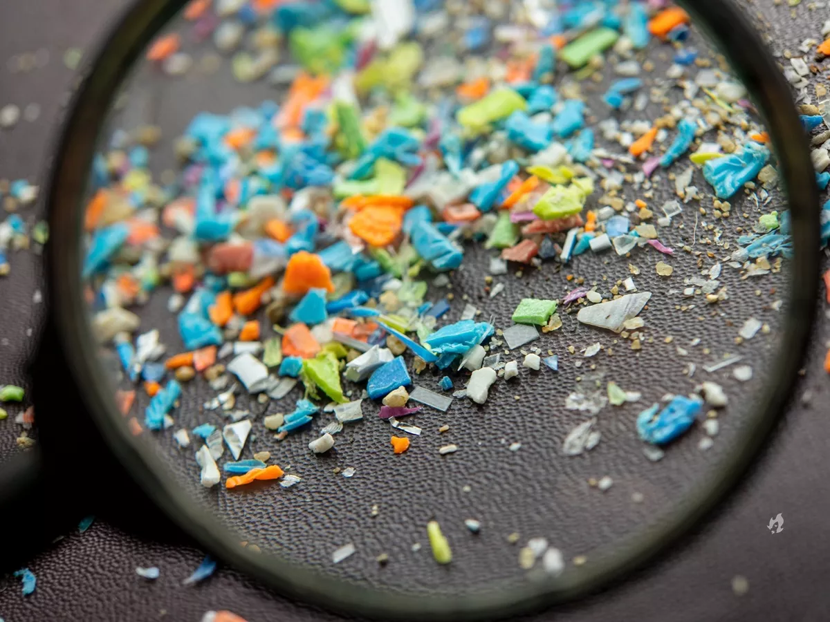 Microplasticos sao encontrados em tecido do nariz na base