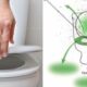 7 doencas que podem se espalhar por sua casa ao