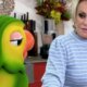 Ana Maria Braga anuncia que ela e Louro Mane estao