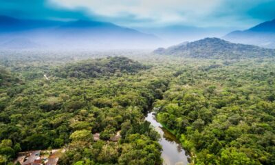 Revolucao verde Brasil cria instituicao para proteger a biodiversidade