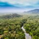 Revolucao verde Brasil cria instituicao para proteger a biodiversidade