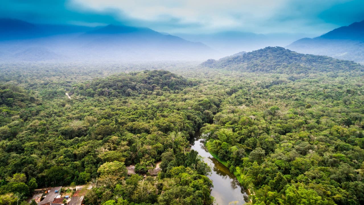 Revolução verde: Brasil cria instituição para proteger a biodiversidade 31 Revolucao verde Brasil cria instituicao para proteger a biodiversidade