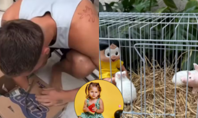 Sansão em dose dupla! João Guilherme presenteia as sobrinhas com coelhinhos
