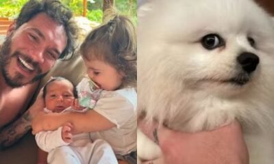 Deu ruim! Eliezer e Viih Tube perdem umbigo de Ravi e cachorra devora