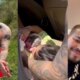 Filho de cantor famoso nao espera e nasce dentro do