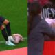 VIDEO cabeca de porco e lancada em campo durante classico