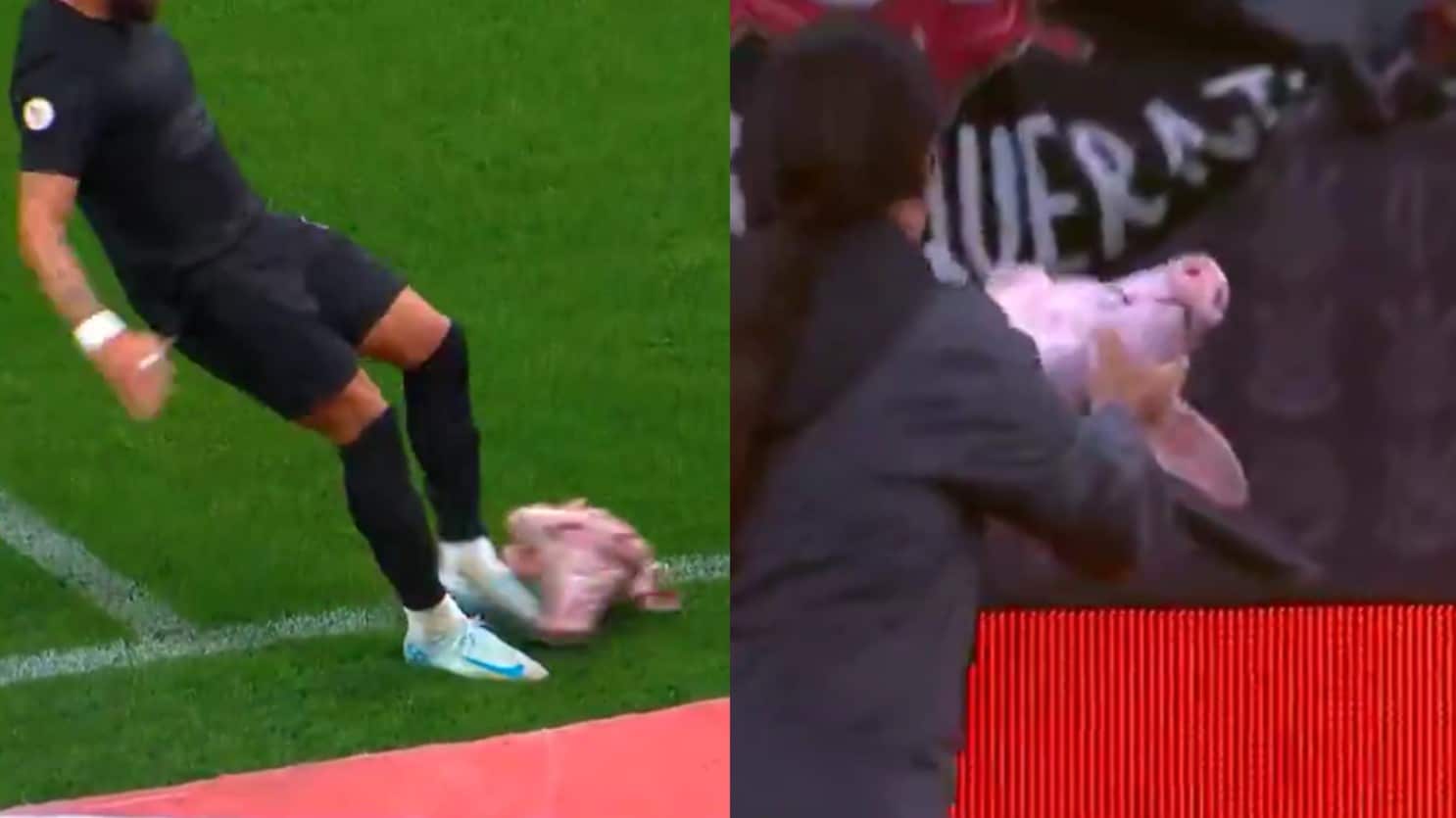 VÍDEO: cabeça de porco é lançada em campo durante clássico Corinthians x Palmeiras; VEJA 31 VIDEO cabeca de porco e lancada em campo durante classico