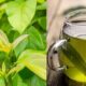 De adeus a inflamacoes diabetes infeccao urinaria pressao alta colesterol