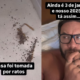 2025 bem tranquilo Eliezer passa perrengue com infestacao de ratos