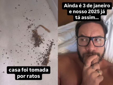 2025 bem tranquilo! Eliezer passa perrengue com infestação de ratos em sua casa 31 2025 bem tranquilo Eliezer passa perrengue com infestacao de ratos