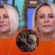 Ana Maria Braga nao segura a emocao com reacao de