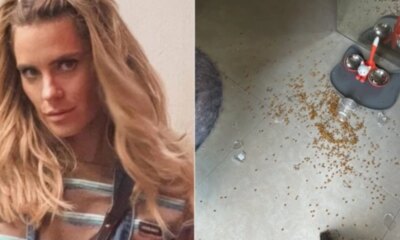 Atriz Carolina Dieckmann vive susto com invasao de macacos em