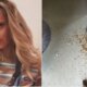 Atriz Carolina Dieckmann vive susto com invasao de macacos em