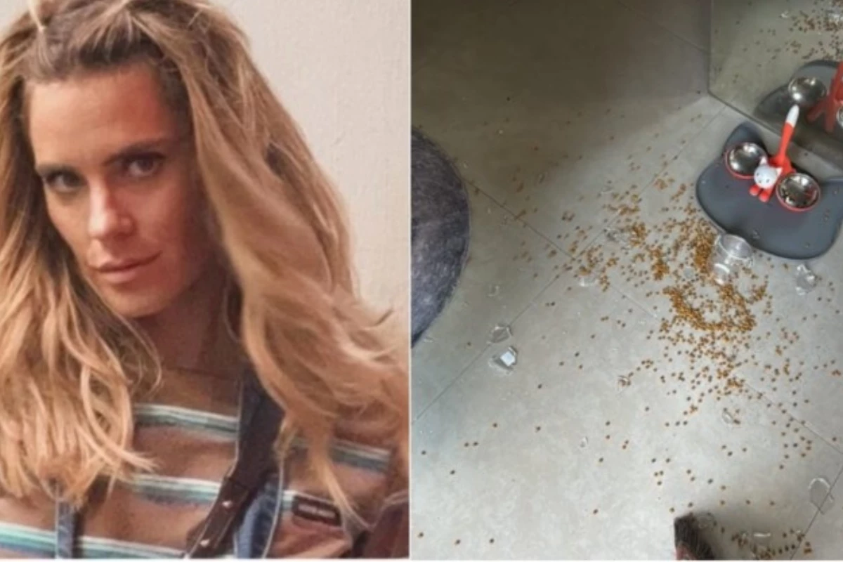 Atriz Carolina Dieckmann vive susto com invasão de macacos em casa: ‘Quebraram tudo’ 32 Atriz Carolina Dieckmann vive susto com invasao de macacos em