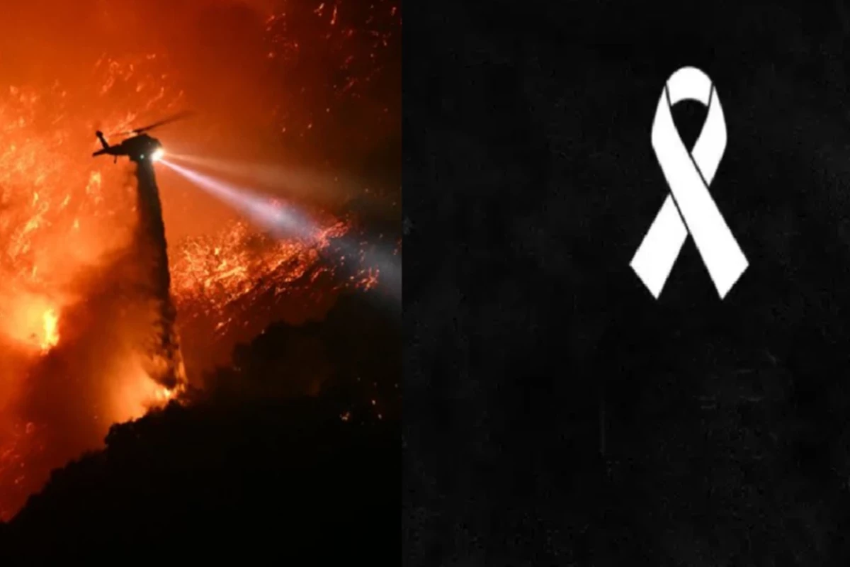 Atriz americana morre em incêndio devastador em Los Angeles 33 Atriz americana morre em incendio devastador em Los Angeles