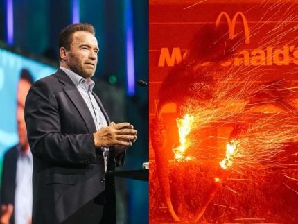Celebridades doam mais de R$600 milhões para vítimas dos incêndios em L.A. 31 Celebridades doam mais de R600 milhoes para vitimas dos incendios