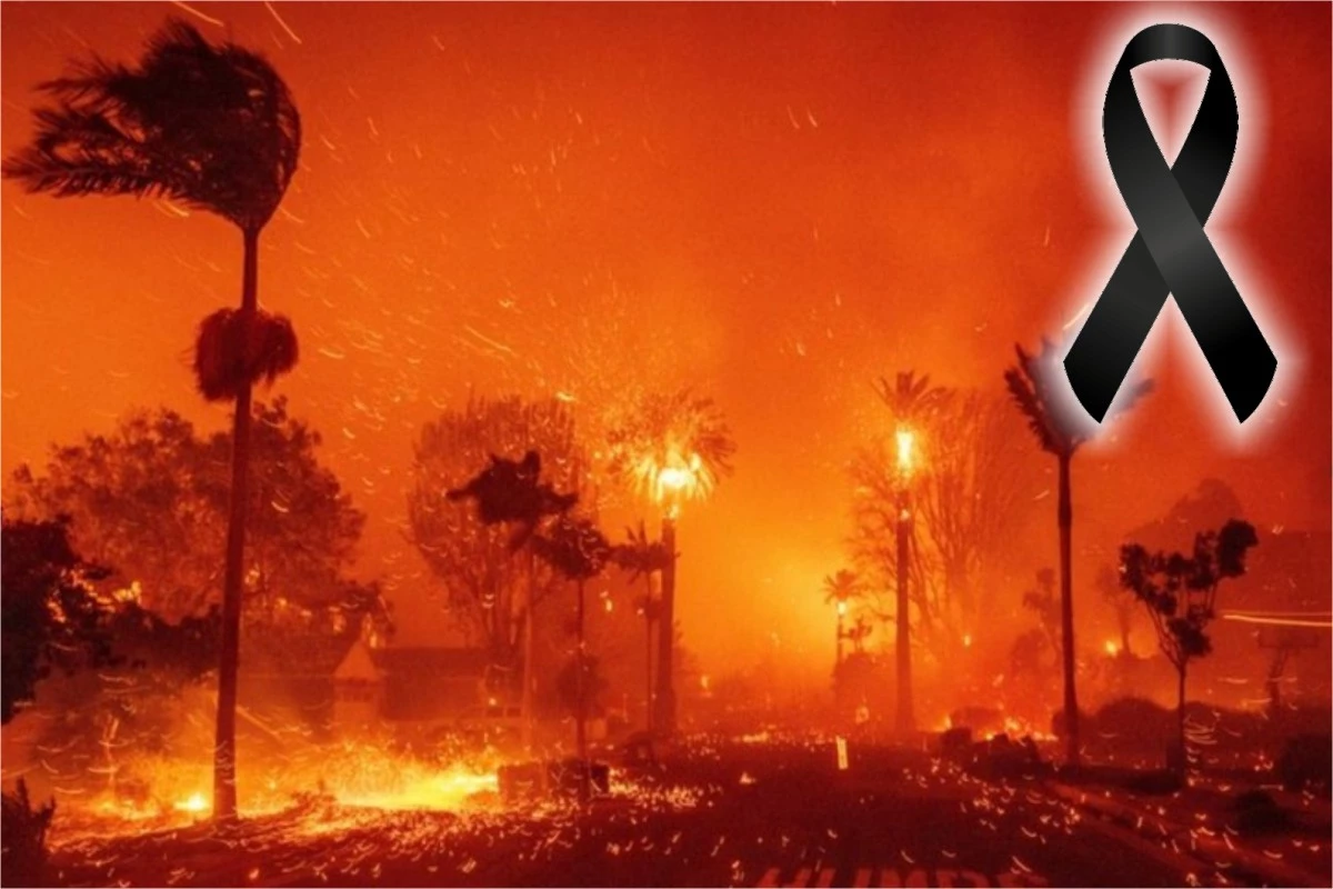 Ex-ator mirim perde a vida em incêndios em Los Angeles; já são 24 vítimas fatais 33 Ex ator mirim perde a vida em incendios em Los Angeles