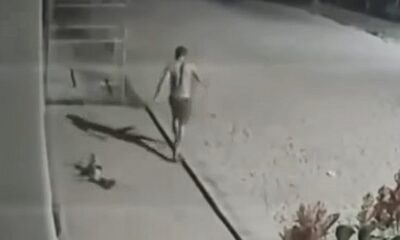 Cachorro (foto Reprodução Redes Sociais) 1