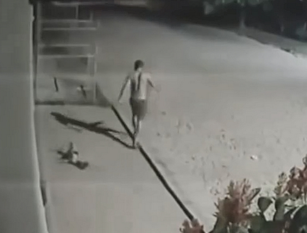 Homem espanca e ateia fogo em cachorra ainda viva; Veja VÍDEO 33 Cachorro (foto Reprodução Redes Sociais) 1