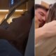 Video reacao de Maira Cardi e Thiago Nigro ao receber
