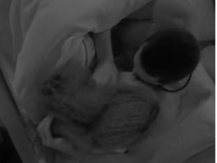 Finalmente! Maike e Giovanna dão beijão durante madrugada no BBB 31 1738515472 Finalmente Maike e Giovanna dao beijao durante madrugada no BBB