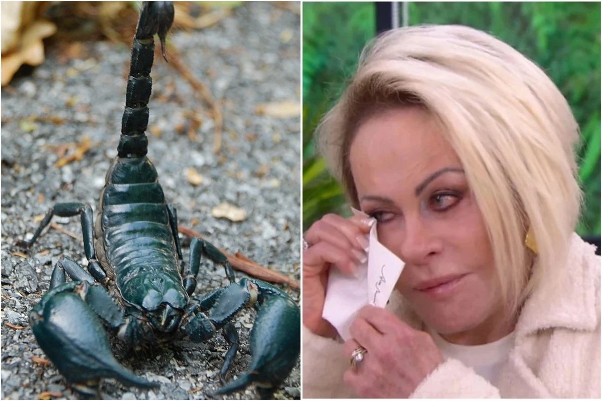 Ana Maria Braga foi levada as pressas a hospital apos