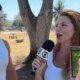 Ao entrevistar frances que mora no Brasil reporter do Mais