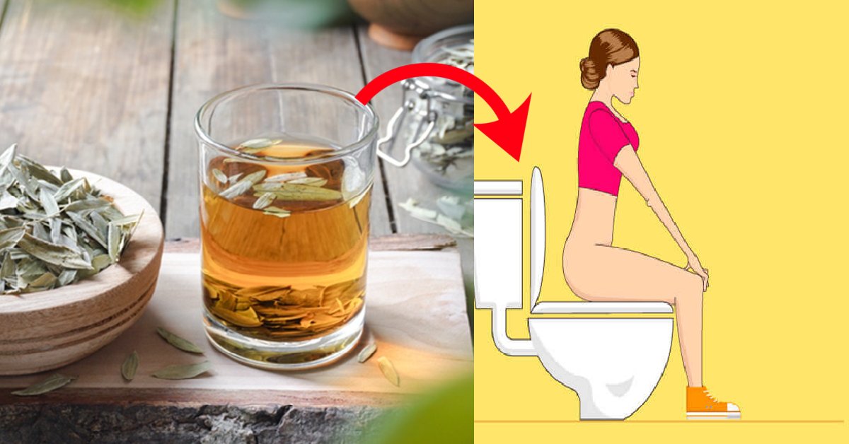 Dificuldade para evacuar? Esse chá poderoso vai soltar seu intestino 31 Dificuldade para evacuar Esse cha poderoso vai soltar seu intestino