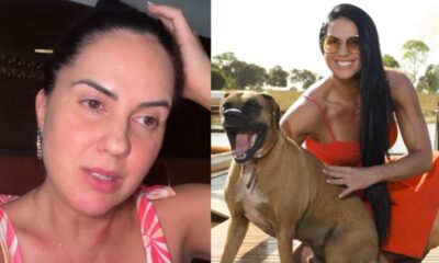 Graciele Lacerda mostra estado do cachorro apos se ferir em