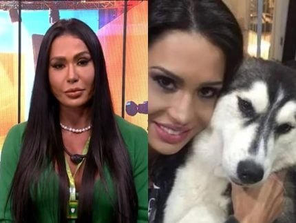 Perdida ha duas semanas familiares organizam buscas por cachorra de