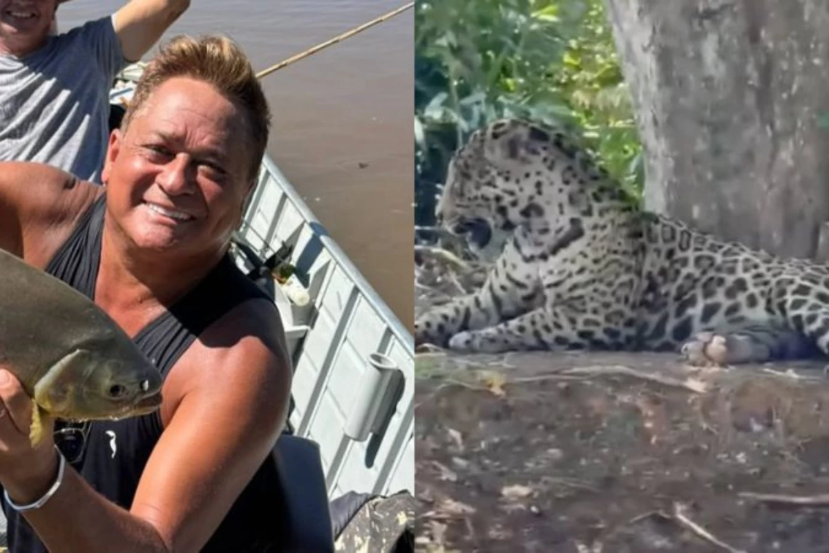 Vídeo – Leonardo tem encontro inesperado com onça-pintada no Pantanal: ‘olha que coisa linda!’ 31 Video – Leonardo tem encontro inesperado com onca pintada no Pantanal