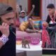 1742712940 Prova do Anjo Castigo do Monstro e Big Fone Confira