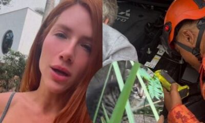 Giovanna Ewbank chama bombeiros para salvar filhotinho de gato preso