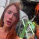 Giovanna Ewbank chama bombeiros para salvar filhotinho de gato preso